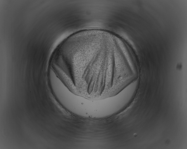 X0000091371469200708311515