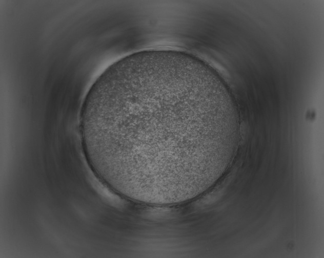 X0000091371470200708311515