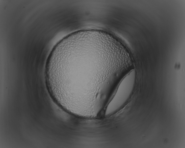 X0000091371471200708311515