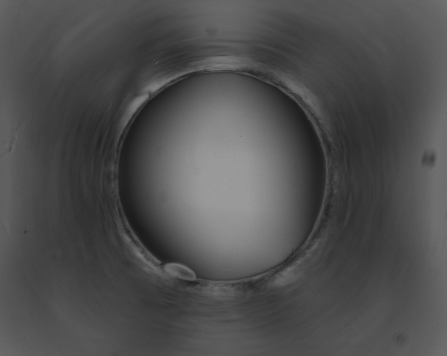 X0000091371473200708311515