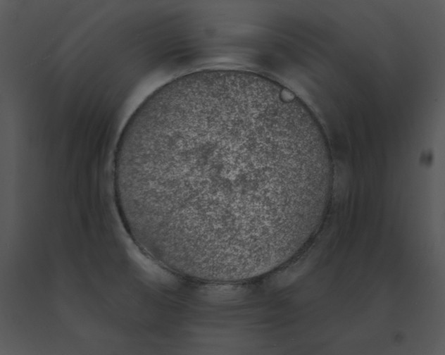 X0000091371474200708311515