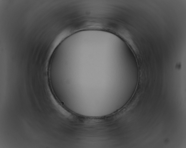 X0000091371475200708311515