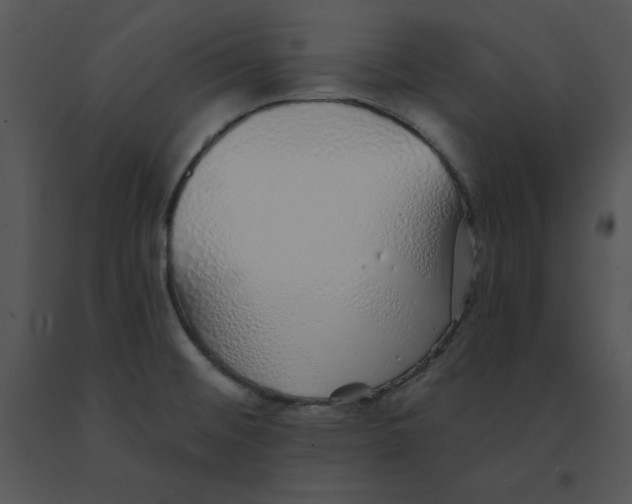 X0000091371476200708311515