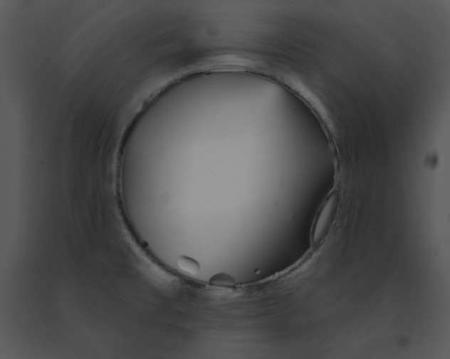 X0000091371477200708311515