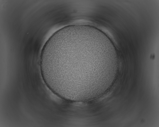 X0000091371478200708311515