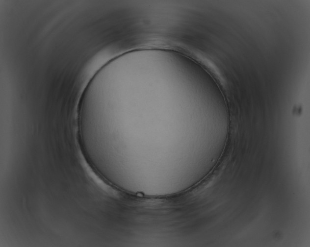 X0000091371479200708311515