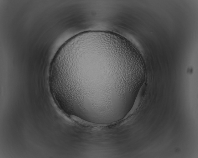 X0000091371480200708311515