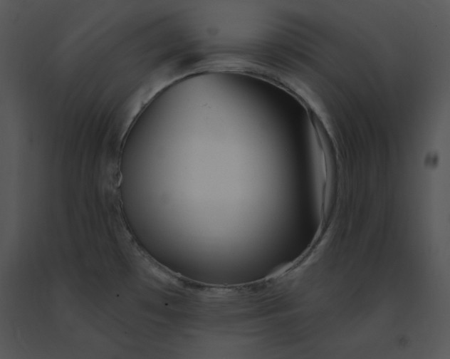 X0000091371481200708311515