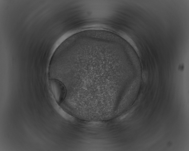 X0000091371482200708311515