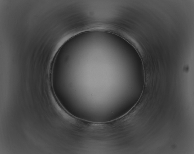 X0000091371483200708311515