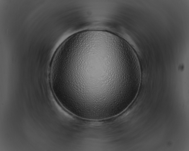 X0000091371484200708311515