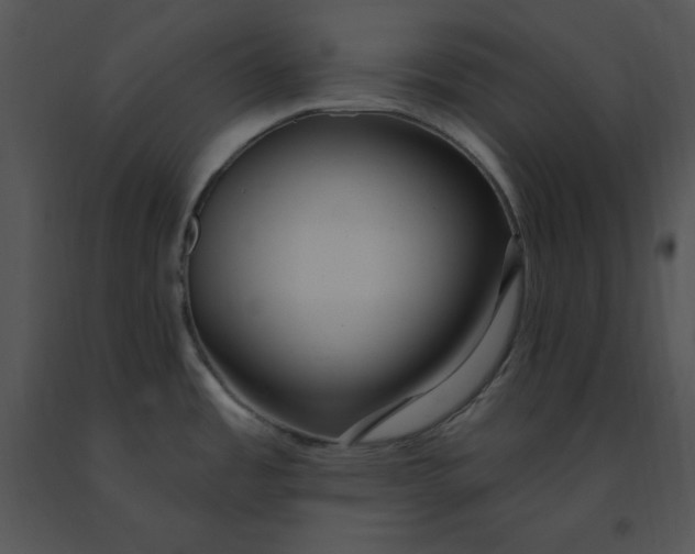 X0000091371485200708311515