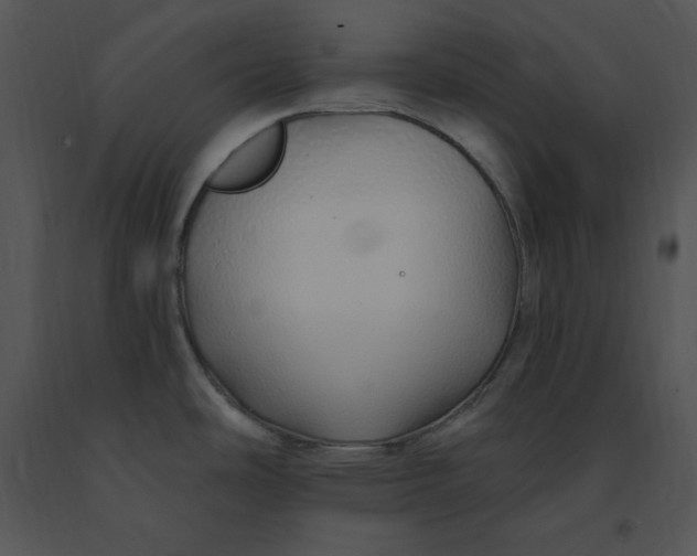 X0000091371486200708311515