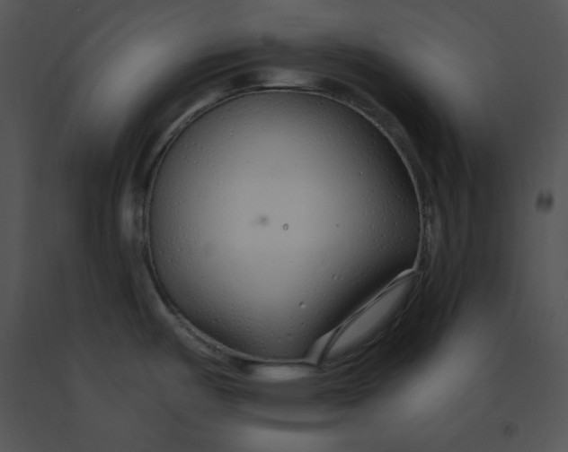 X0000091371487200708311515