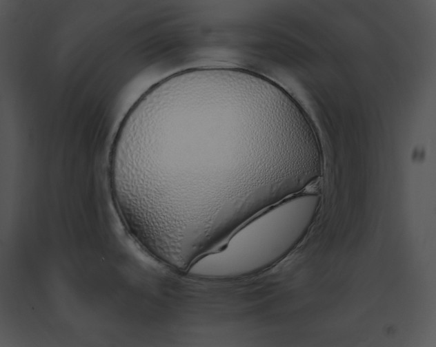 X0000091371488200708311515