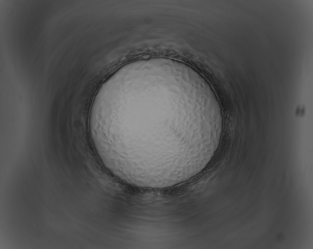 X0000091371489200708311514