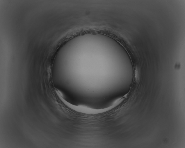 X0000091371492200708311514