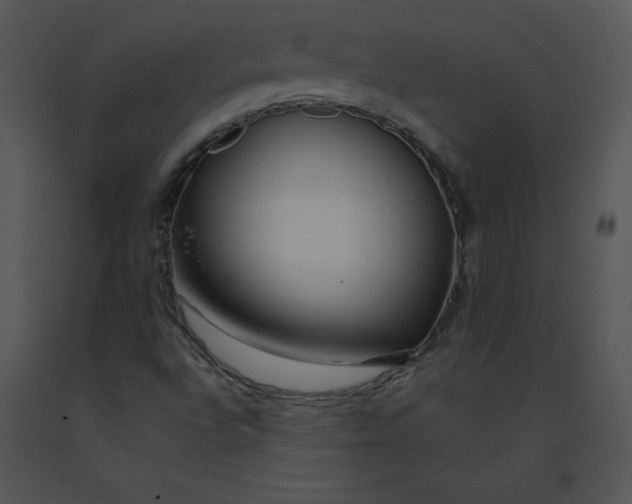 X0000091371496200708311514