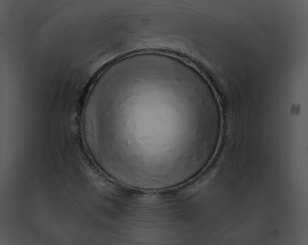 X0000091371497200708311514