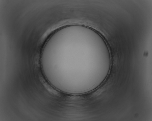 X0000091371499200708311514