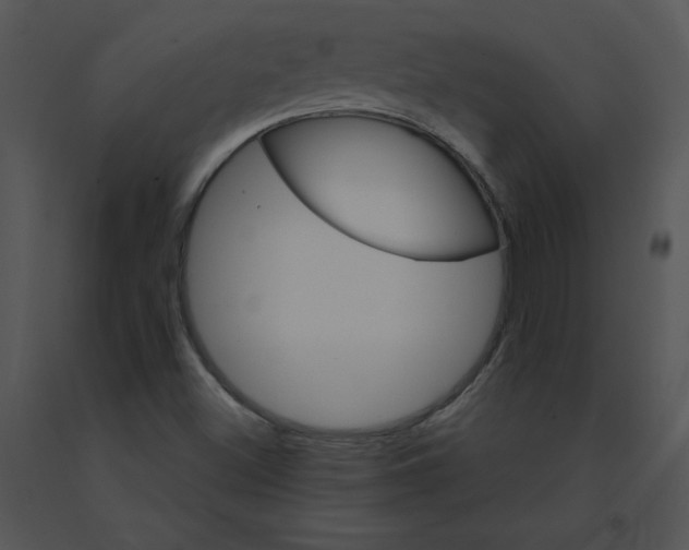 X0000091371500200708311514