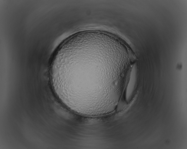 X0000091371501200708311514