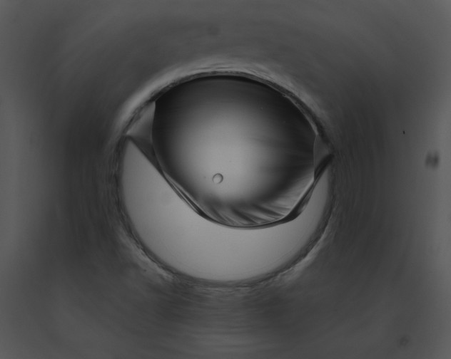 X0000091371502200708311514