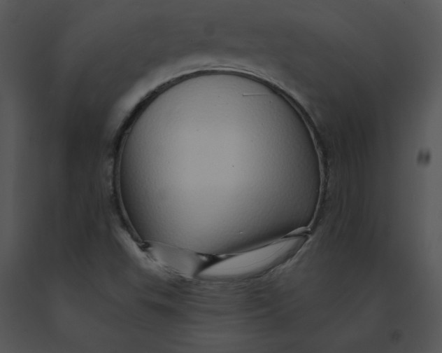 X0000091371503200708311515