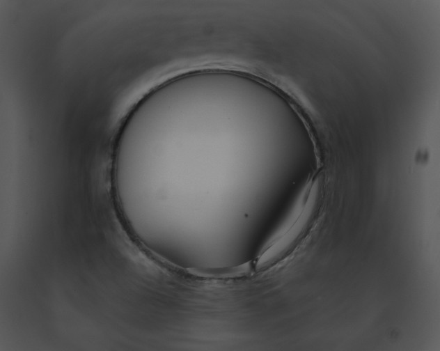 X0000091371504200708311515