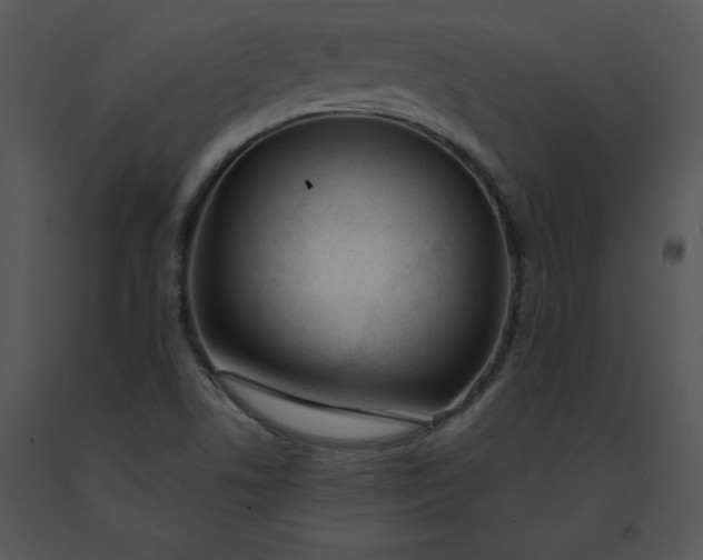 X0000091371506200708311515