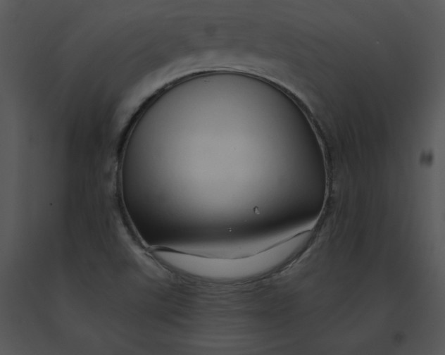 X0000091371507200708311515