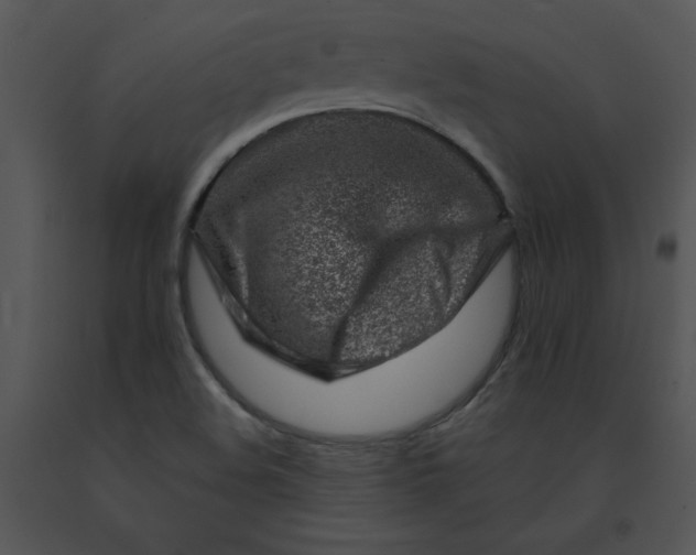 X0000091371508200708311515