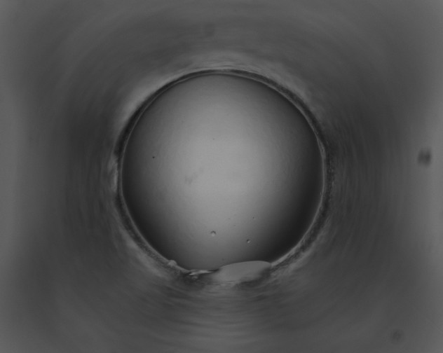 X0000091371509200708311515