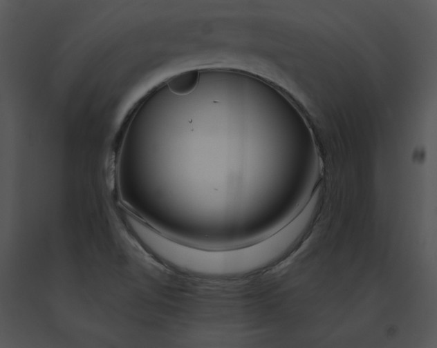 X0000091371510200708311515