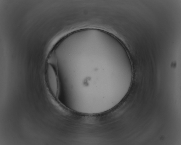 X0000091371511200708311515