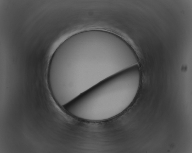 X0000091371512200708311515