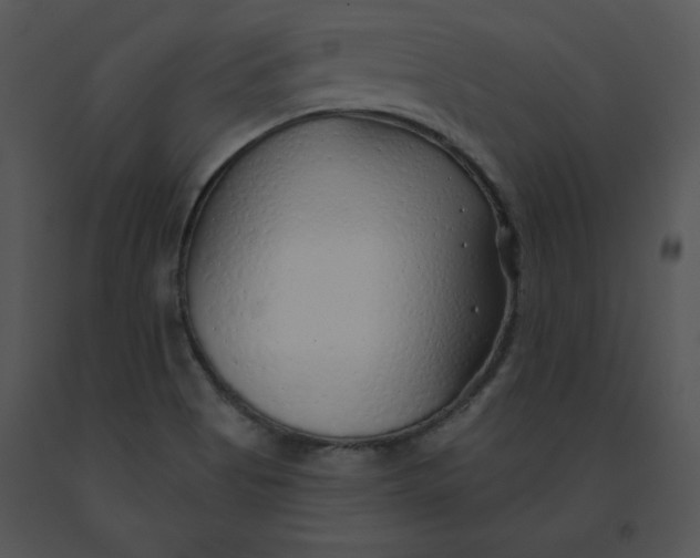 X0000091371513200708311515