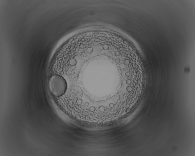 X0000091371514200708311515