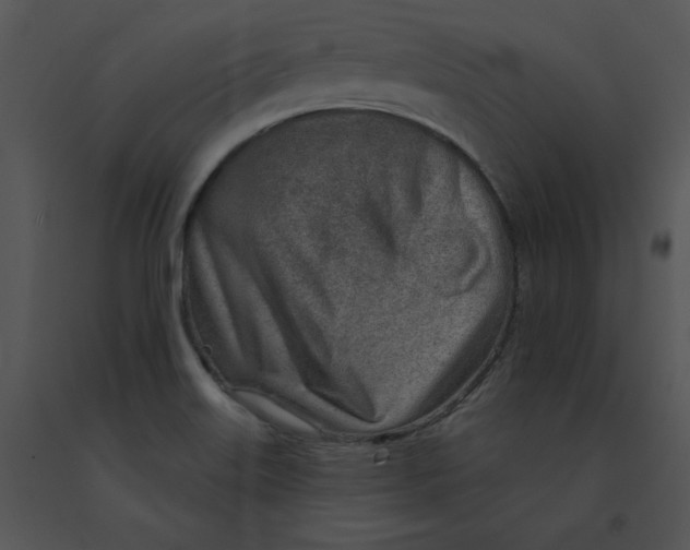 X0000091371515200708311515