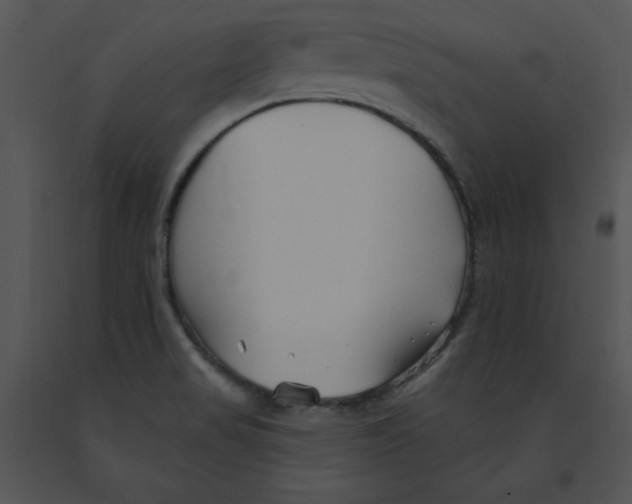 X0000091371517200708311515