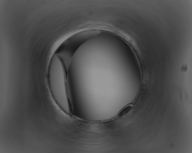 X0000091371520200708311515