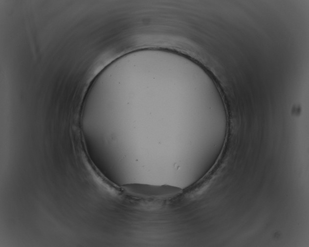 X0000091371521200708311515