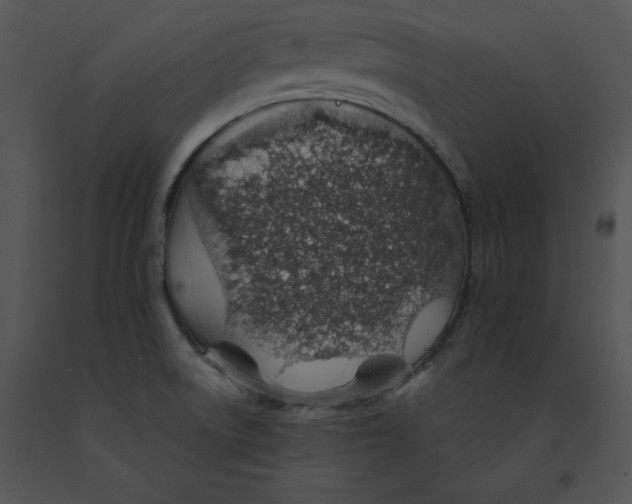 X0000091371522200708311515