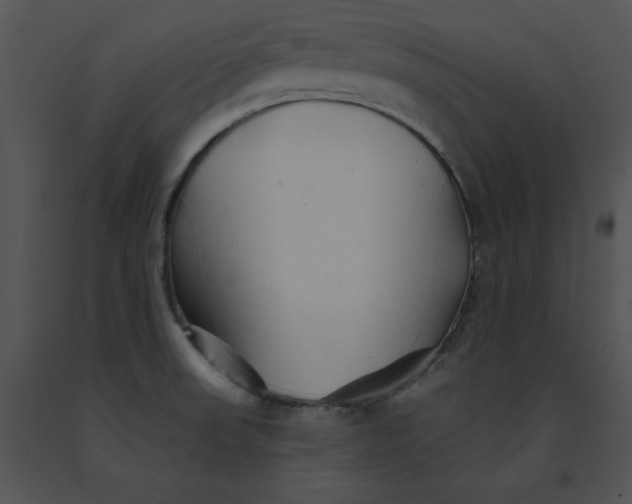 X0000091371523200708311515