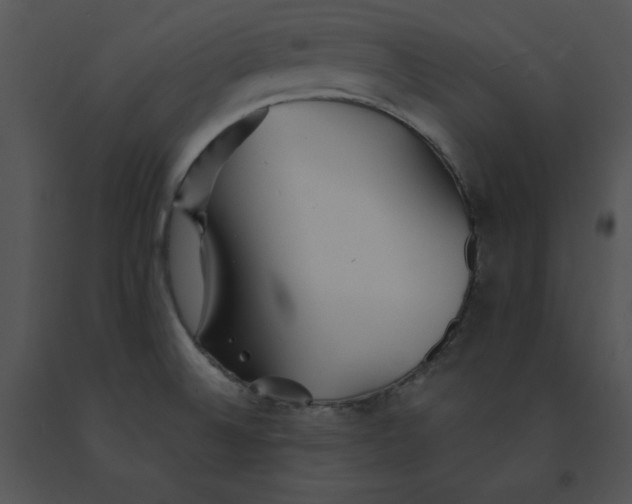 X0000091371524200708311515