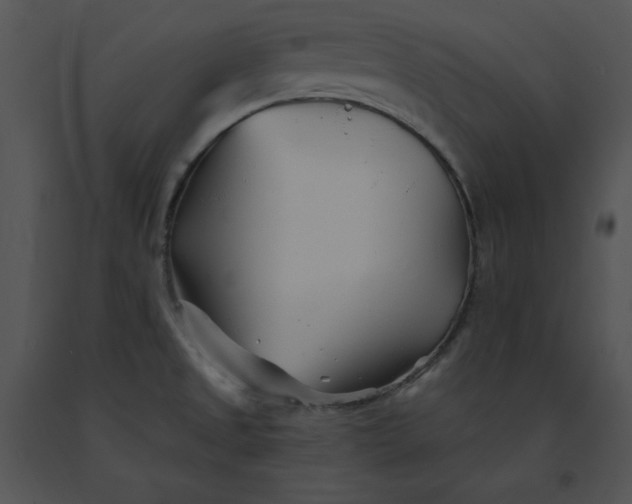 X0000091371525200708311515