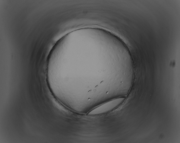 X0000091371526200708311515