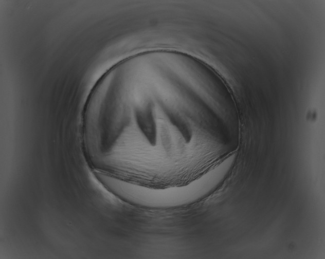 X0000091371527200708311515