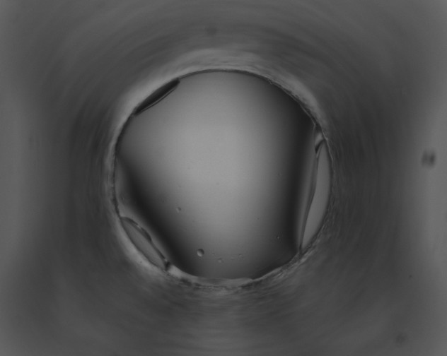 X0000091371528200708311515