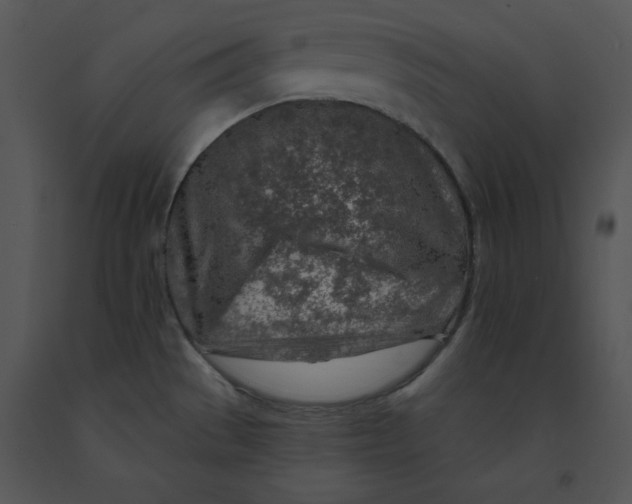 X0000091371529200708311515